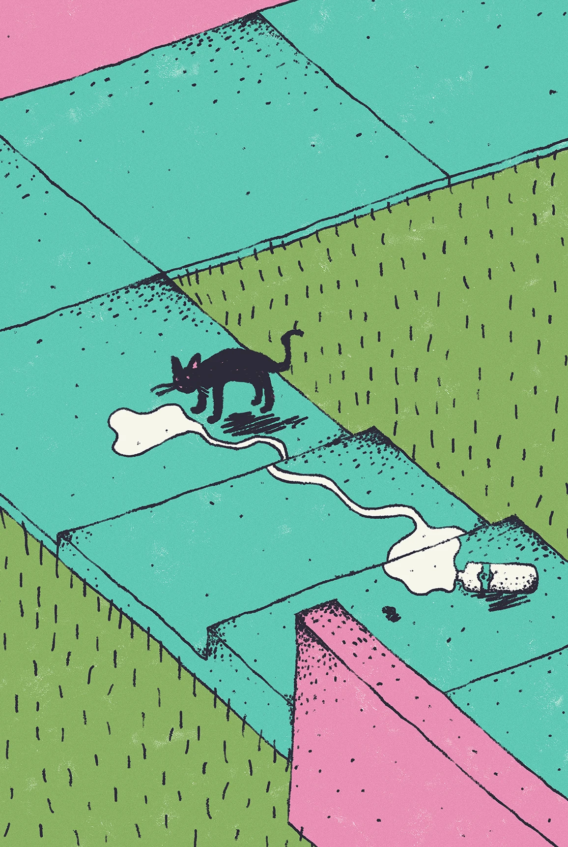 Illustrations